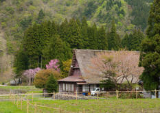 森と古民家